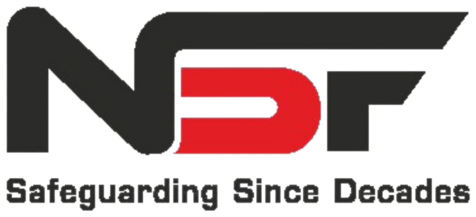 NSF GROUP Logo